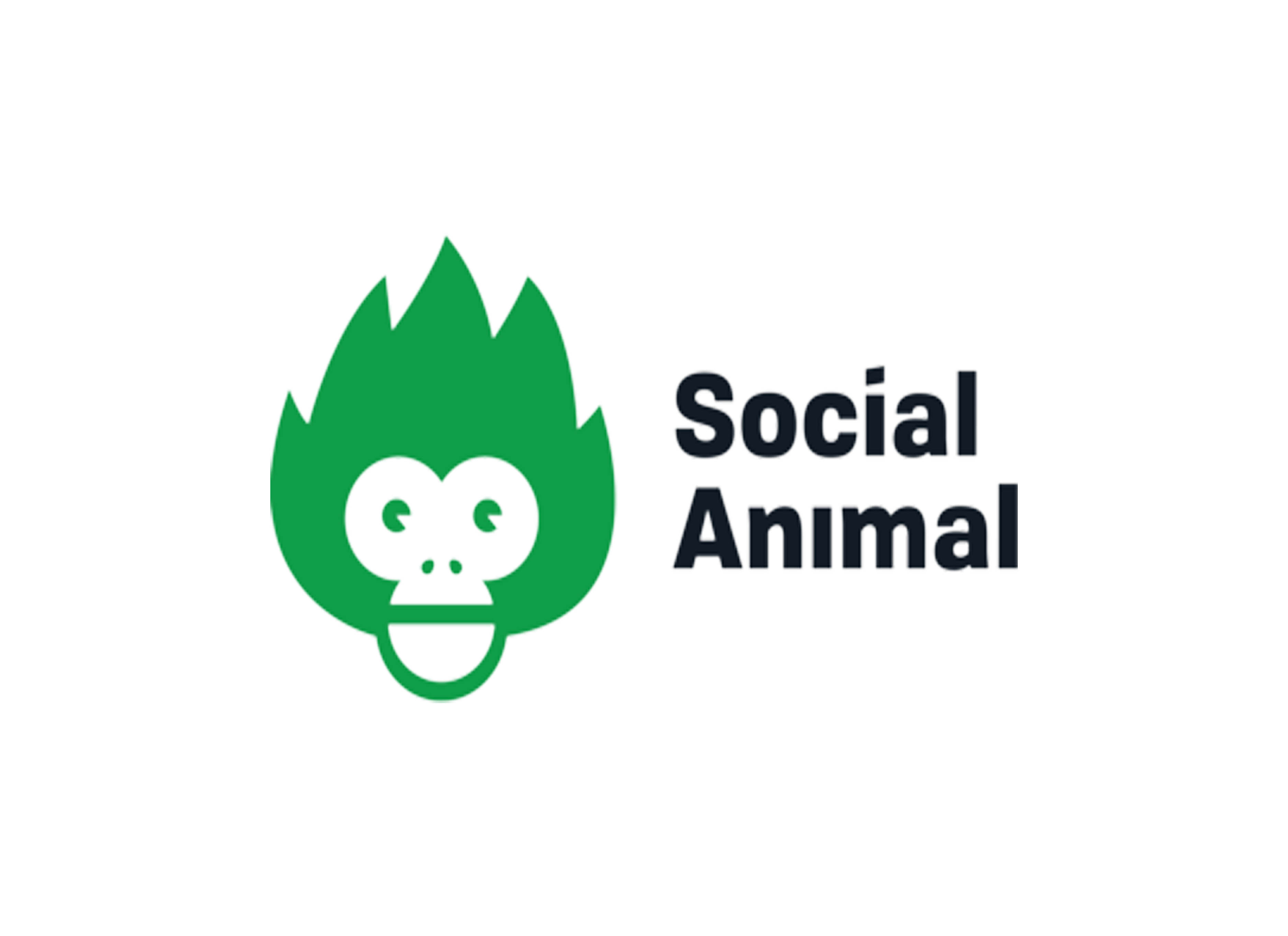 social_animal